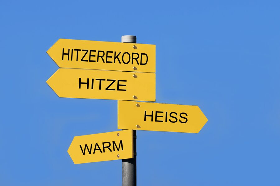 Mit Förderung gegen Sommerhitze