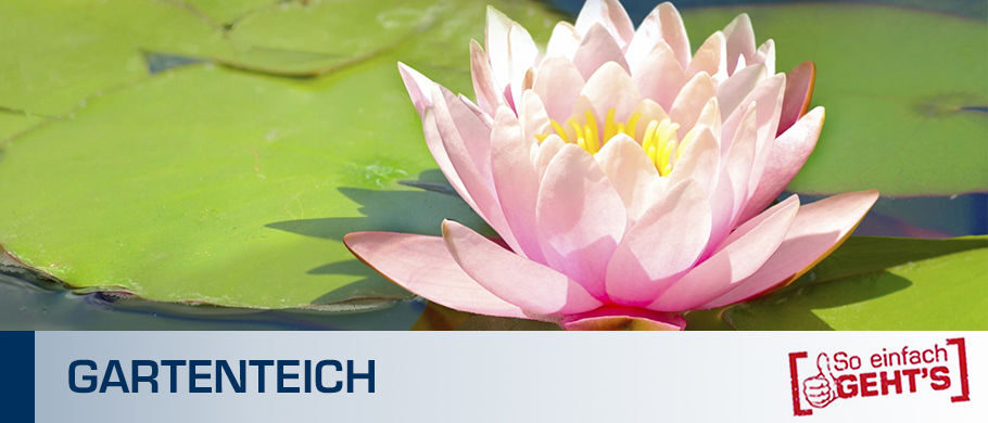 Gartenteich